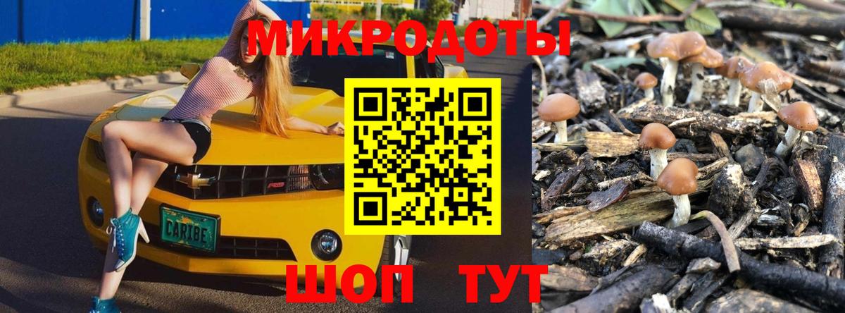 Псилоцибиновые грибы MAGIC MUSHROOMS  Псилоцибиновые грибы Cubensis  Вход с VPN  Обь 