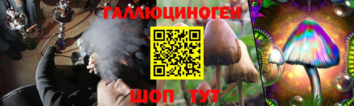 Галлюциногенные грибы прущие грибы Обь